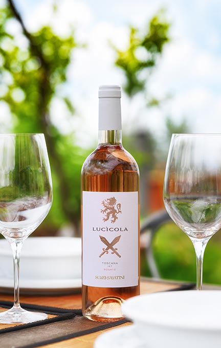 Lucicola vino