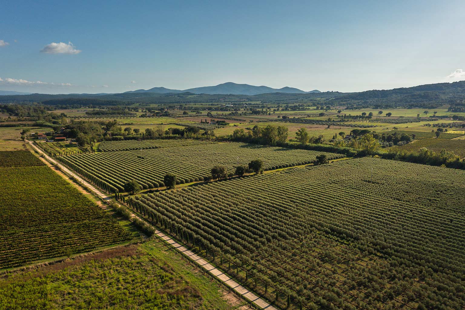 Poggio la Pia