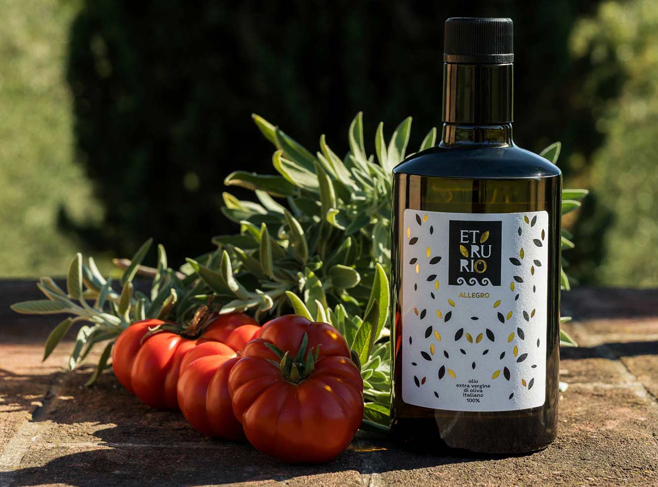 Degustazione olio d'oliva in toscana
